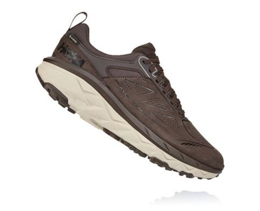 Chaussure Trail Hoka One One Challenger Basse Gore-Tex Homme - Marron - FYL-601582